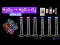 Enzyme Function and Lab Techniques Quiz