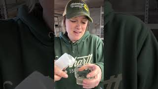 🌱Day 29: Seed Starting Marathon 🌱