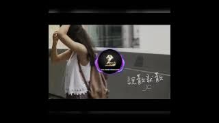 Jc(陈咏桐) - 说散就散(DJLeo仔仔 新弹跳 2o25 ReMix 国语女)