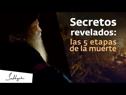 Video: ¿Cuáles son las 4 etapas de la muerte?