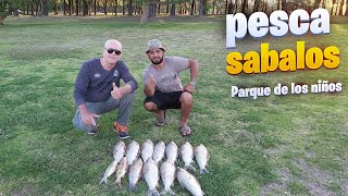 WE GET TIRED OF FISHING SABALOS with a rod