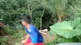 Status WA .kompilasi lagu dory harsa .ninggal tatu .meriam bambu ramadhan