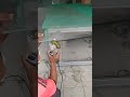 grinding glass 10mm #grindingglass #tukangkaca