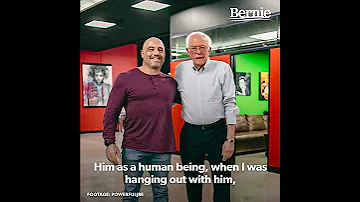 Joe Rogan Says He S Voting For Bernie 