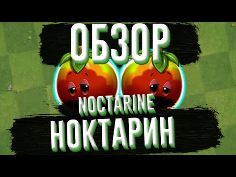 Видео: Обзор Ноктарина (Noctarine), растение из Plants vs Zombies 2