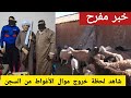  الأغواط إطلاق سراح موال الأغواط الحاج جمال الذي قت ل إثنان من عصابة سرقة المواشي mp3