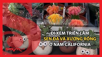 Triển lãm Sen đá và Xương Rồng ở Nam California: Lễ hội của người hoa cây cảnh