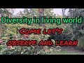 Curiosity class 6: ch.2 Diversity in living world (Part 1 Activity class, observe and learn)