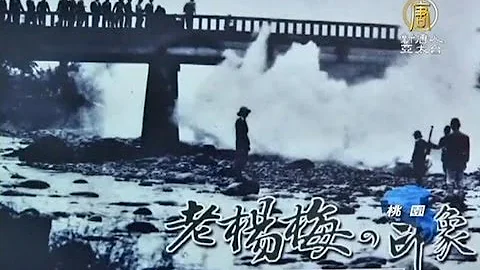 【文化新闻】老杨梅印象摄影展 旧照片回味历史 - 天天要闻