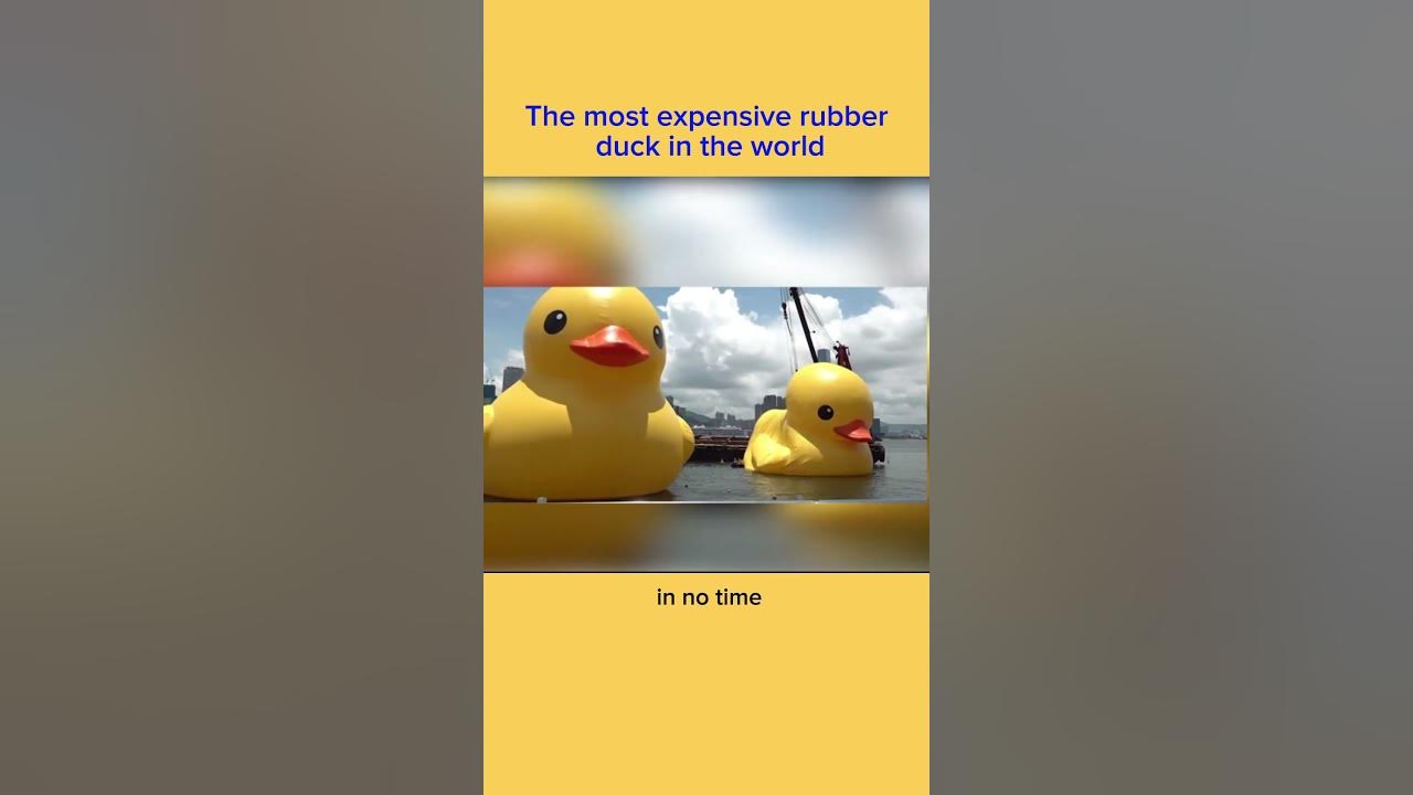 The most expensive duck in the world YouTube