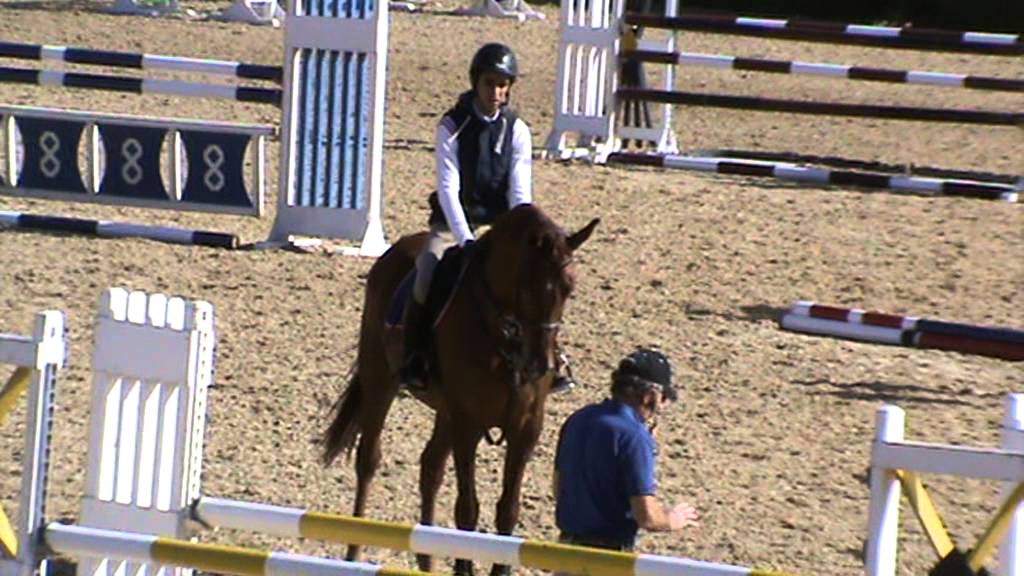 Egyptian Equestrian Federation Bernie Traurig Clinic Show Jumping