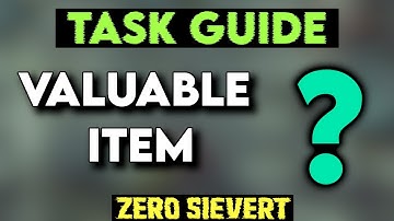 [Zero Sievert] Task Guide - Valuable Item