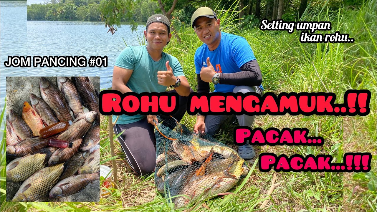 CARA BUAT UMPAN IKAN ROHU #VOL3 | JOM PANCING #01
