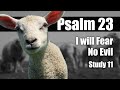 11 Ps 23:4 I will fear no evil