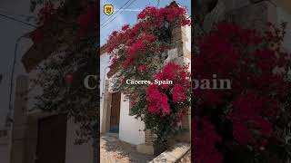 🌿 Extremadura Hidden Gem: Old Town of Càseres, Spain ✨ #digitalnomad   #remotework  #hiddengemsspain
