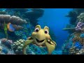 Toby The Turtle Song Fun Learning Song For Kids About Ocean Animals mp3
