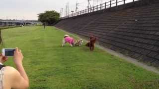 ジョン レノン 2012 0728