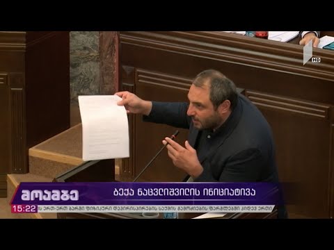 ბექა ნაცვლიშვილის ინიციატივა