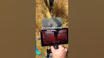 The most under rated camera / the Canon R5C #camera #cinematography #film #photography #videography