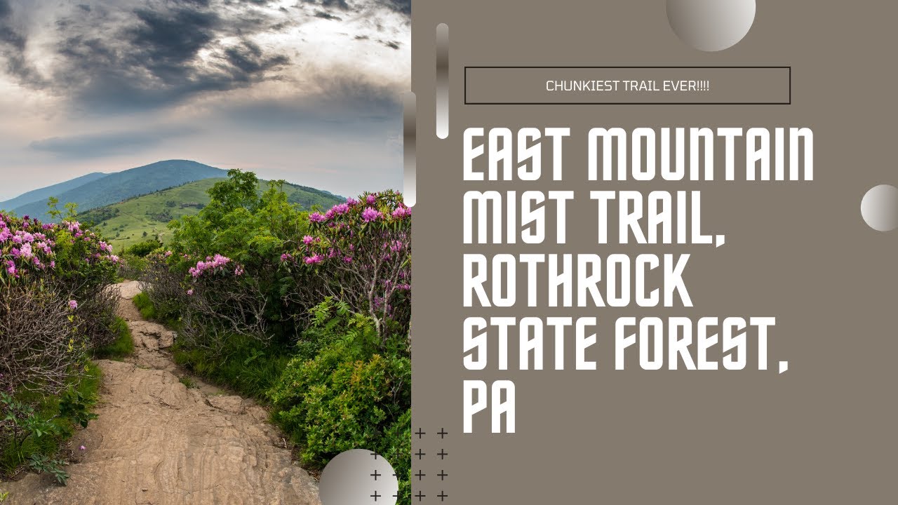 East Mountain Mist Trail, Rothrock State Forest, PA