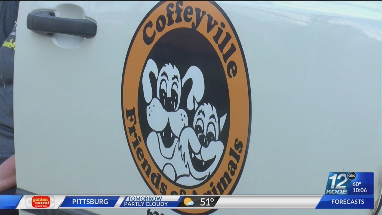 Two organizations team up to help animals in need YouTube