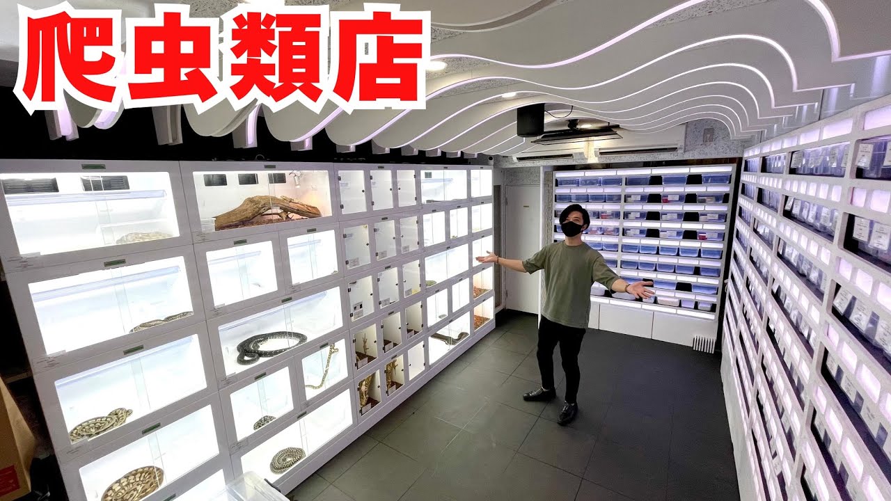 表参道のまるで「宇宙船」のような超オシャレ爬虫類ショップを紹介！
