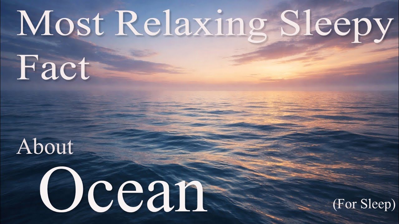 The Most Relaxing Ocean Fact 🌊 | Calm Your Mind | ZAAM STORIES 