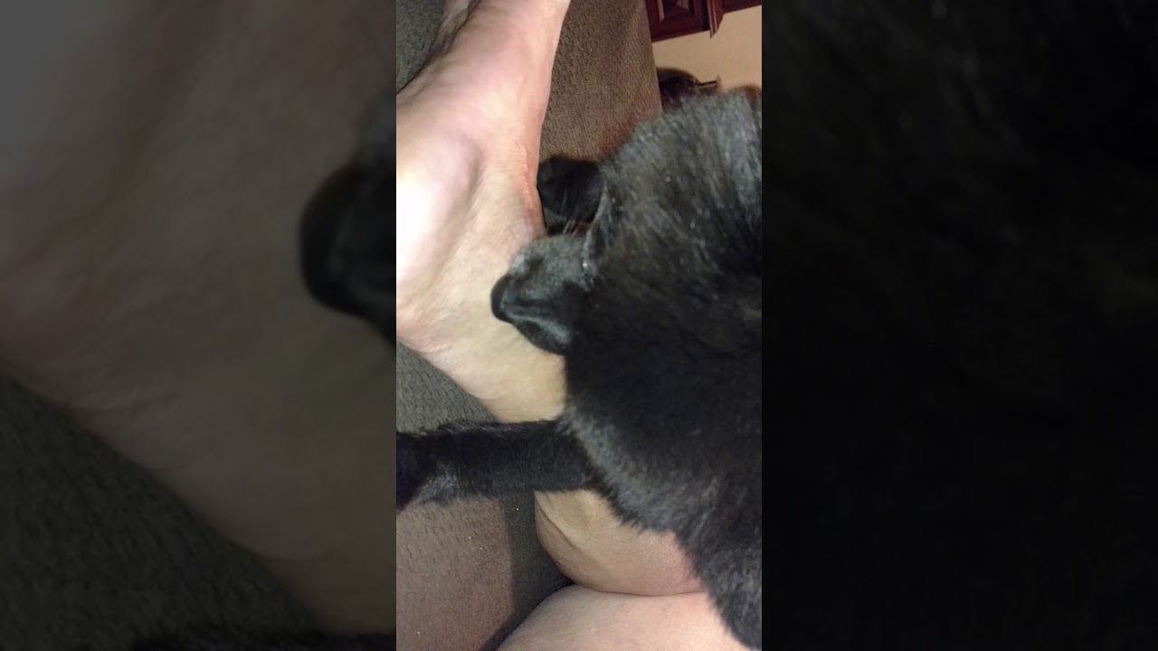 Шрам после чистки Smokey