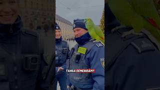was haben 1 Polizist und 1 Tanga gemeinsam?