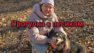 Прогулка по осенней аллеи  нашего Пушистика🐕