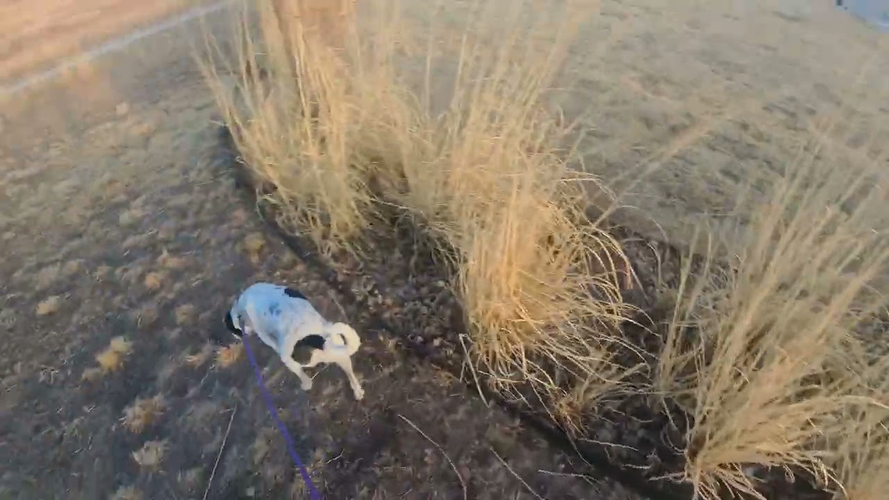 Ramona and Brett Evening Run on Feb 22, 2026