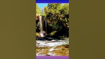 quran  القرآن الكريم مقطع جميل مميز-عنتر سعيد مسلم-سورة التوبة( وعلى الثلاثة...)-تلاوات نادرة خارجية
