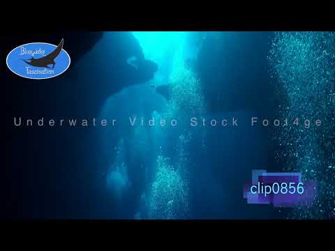 0856_Air Bubbles ascending in cave slow motion. HD Underwater Royalty Free Stock Footage.