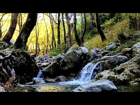 Ορεινή Εύβοια: Το καταπράσινο χωριό της Εύβοιας σε απόσταση 100 χιλιομέτρων από την Αθήνα!!! (ΣΤΕΝΗ)