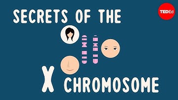 Secrets of the X chromosome - Robin Ball