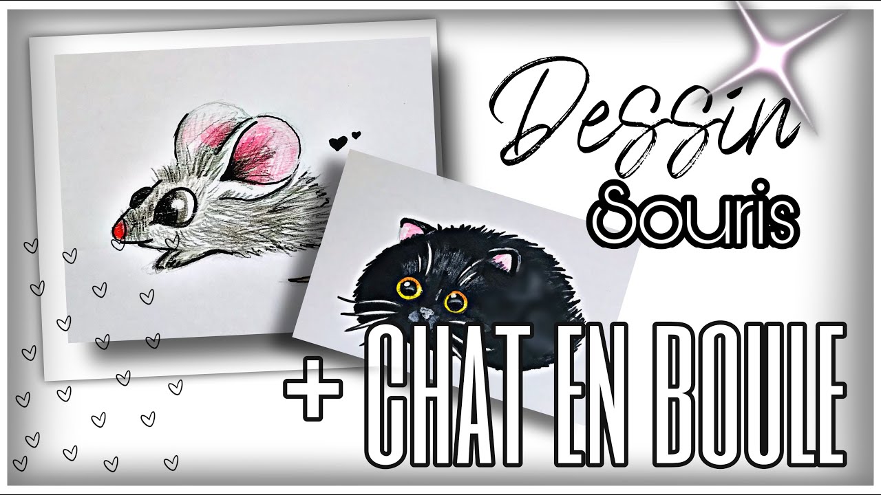Dessin D Une Souris Un Chat En Boule Youtube