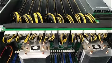 8 Nvidia GPU Dedicated Server