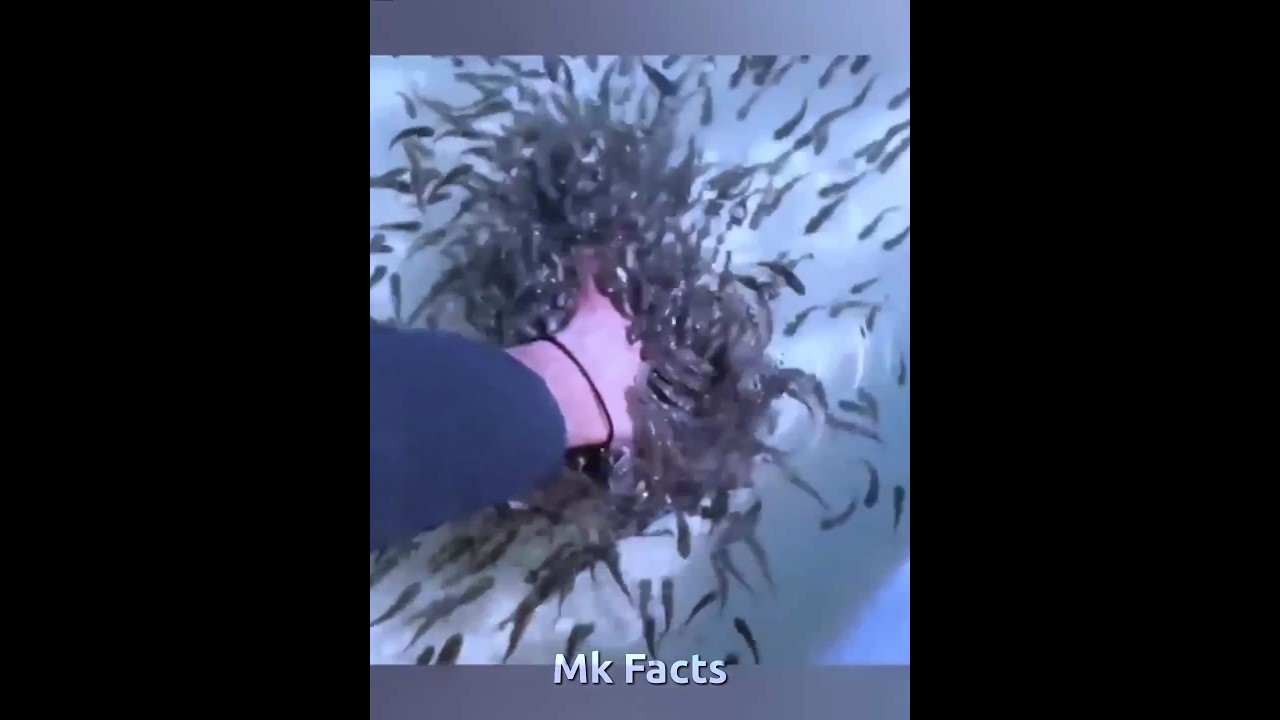 Never Do Facial Fish Spa |😲😲| 