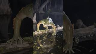 Swamp Mutant Frog Caught on Camera at Night 😱 | Creepy Creature in the Dark