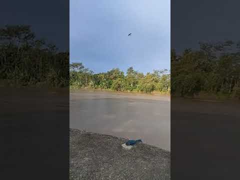 Situasi Terkini Sungai