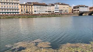 Firenze, Arno in secca