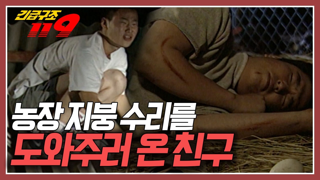 기러기 농장 지붕 수리를 하기 위해 모인 친구들~ 금방 끝날 것 같던 작업이 점점 늦어지는데... [긴급구조 119] KBS 971001 방송