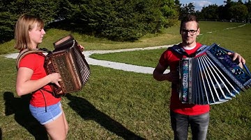 Ples komarjev, ansambel Nika Zajca!