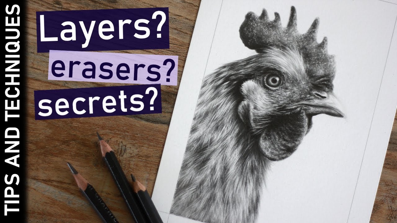 What matters when drawing realism? | Chicken graphite drawing - YouTube