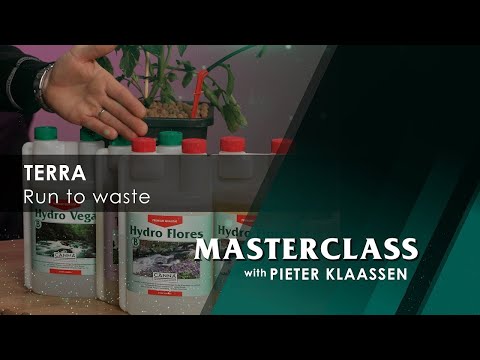 Masterclass – Si