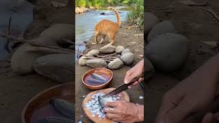 Cuma kucing oren yang tahu caranya balas budi! 🐱🔥 Dari nangkatin ikan sampai nyari kayu bakar