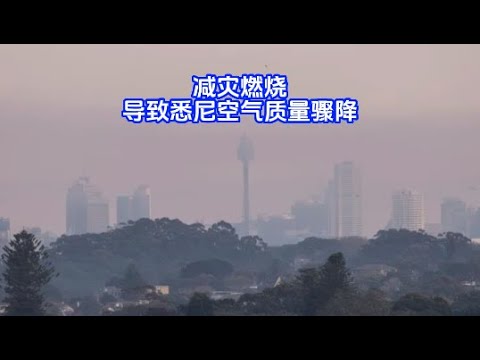 【0912晚间新闻播报】减灾燃烧导致悉尼空气质量骤降；公投时间表确定；悉尼周末马拉松开跑，这些主要道路将关闭