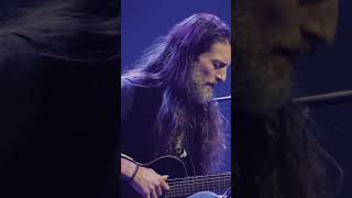 Estas Tonne - Baby Guitar #shorts