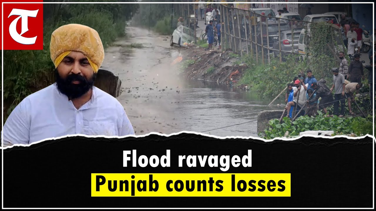 Punjab Floods: Villages Submerged from Anandpur Sahib to Ludhiana, Govt Issues Alert