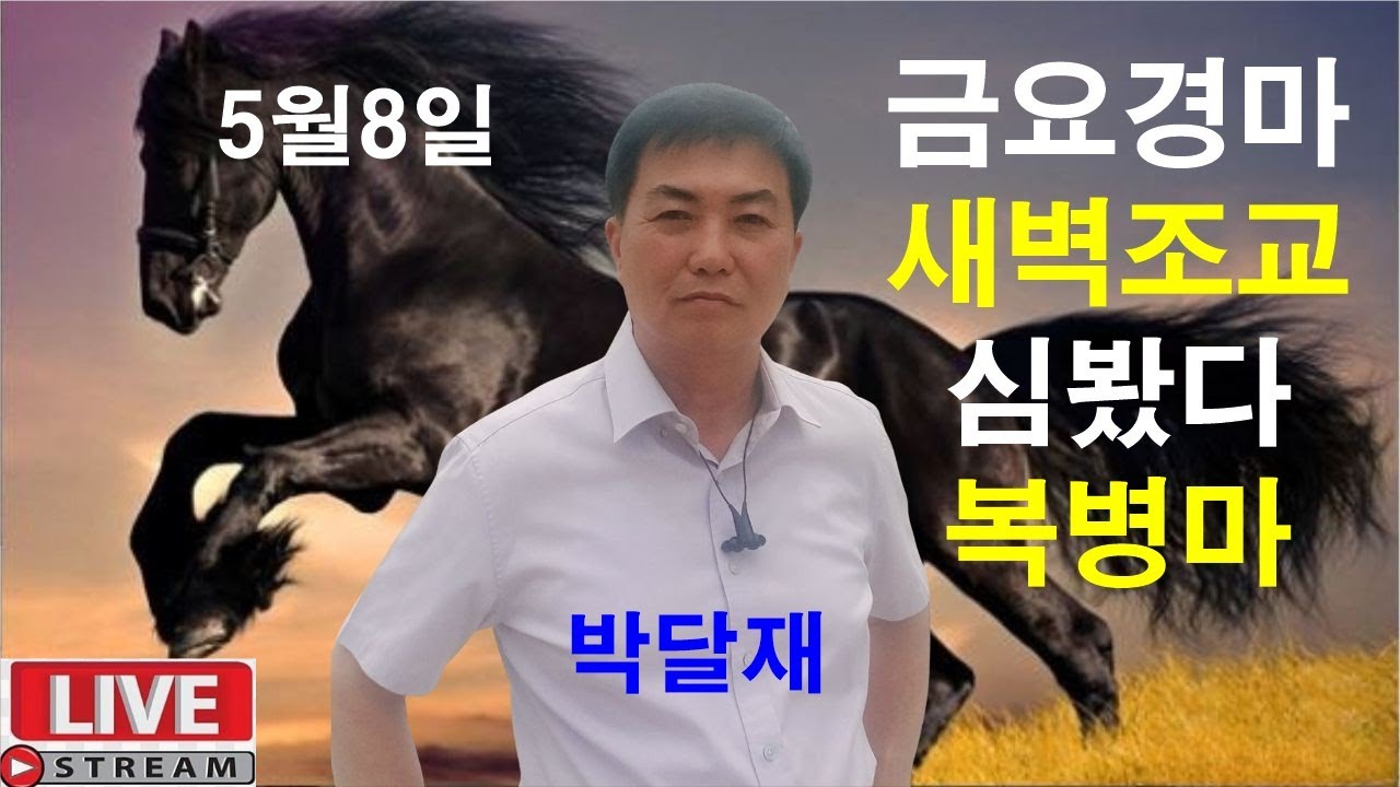 5월8일 금요경마  새벽조교 분석방송 경마예상 추천마번 복병마  라이브 방송 경마장 심마니 박달재 서울경마 부경경마 제주경마 경주분석 추천마번 예상방송 박달재